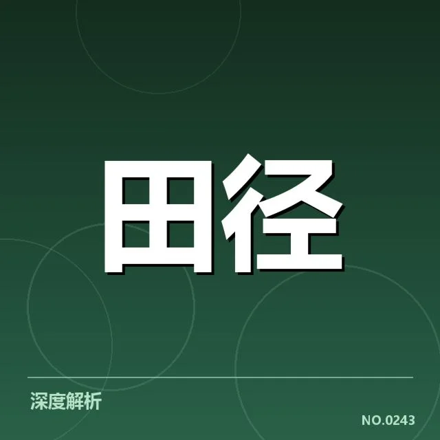 接力队阵容磨合背后，团队协作与战略调整引发的深层次疑问